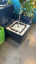Load image into Gallery viewer, Used Jayscott Planter Box – Indoor & Outdoor – Various Colours