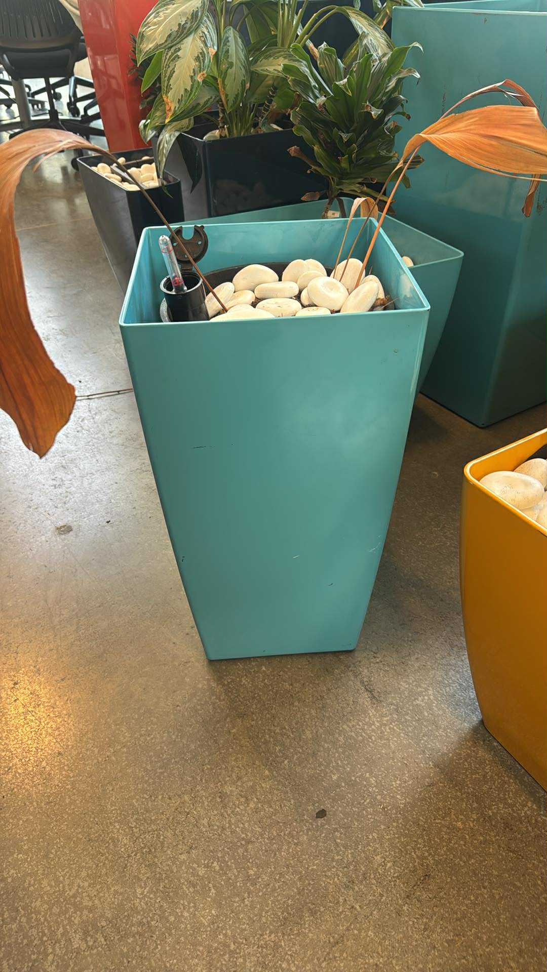 Jay Scotts Collection Planter Box – Indoor & Outdoor – Various Colours & Sizes