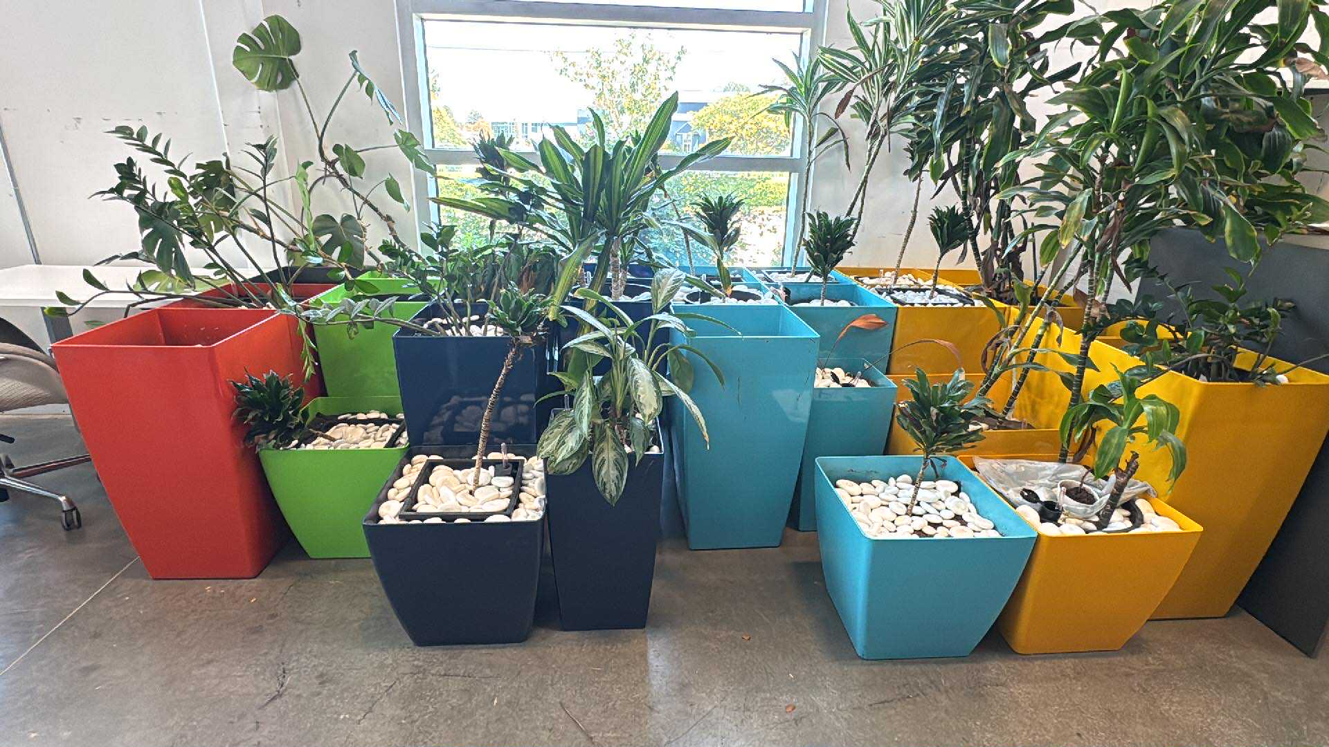 Jay Scotts Collection Planter Box – Indoor & Outdoor – Various Colours & Sizes