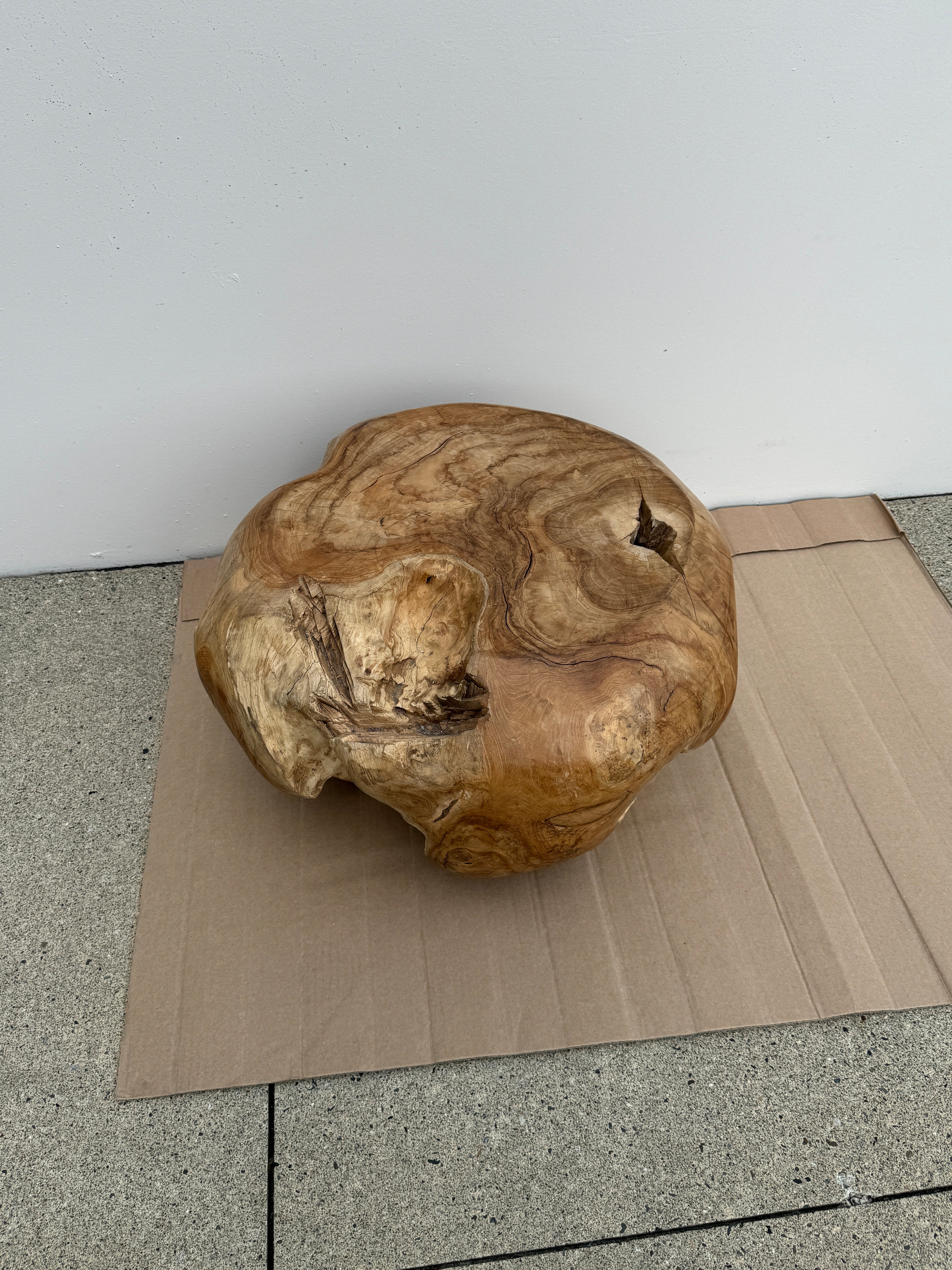 Solid Teak Root Coffee Table / Sculptural Accent Table
