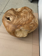Solid Teak Root Coffee Table / Sculptural Accent Table