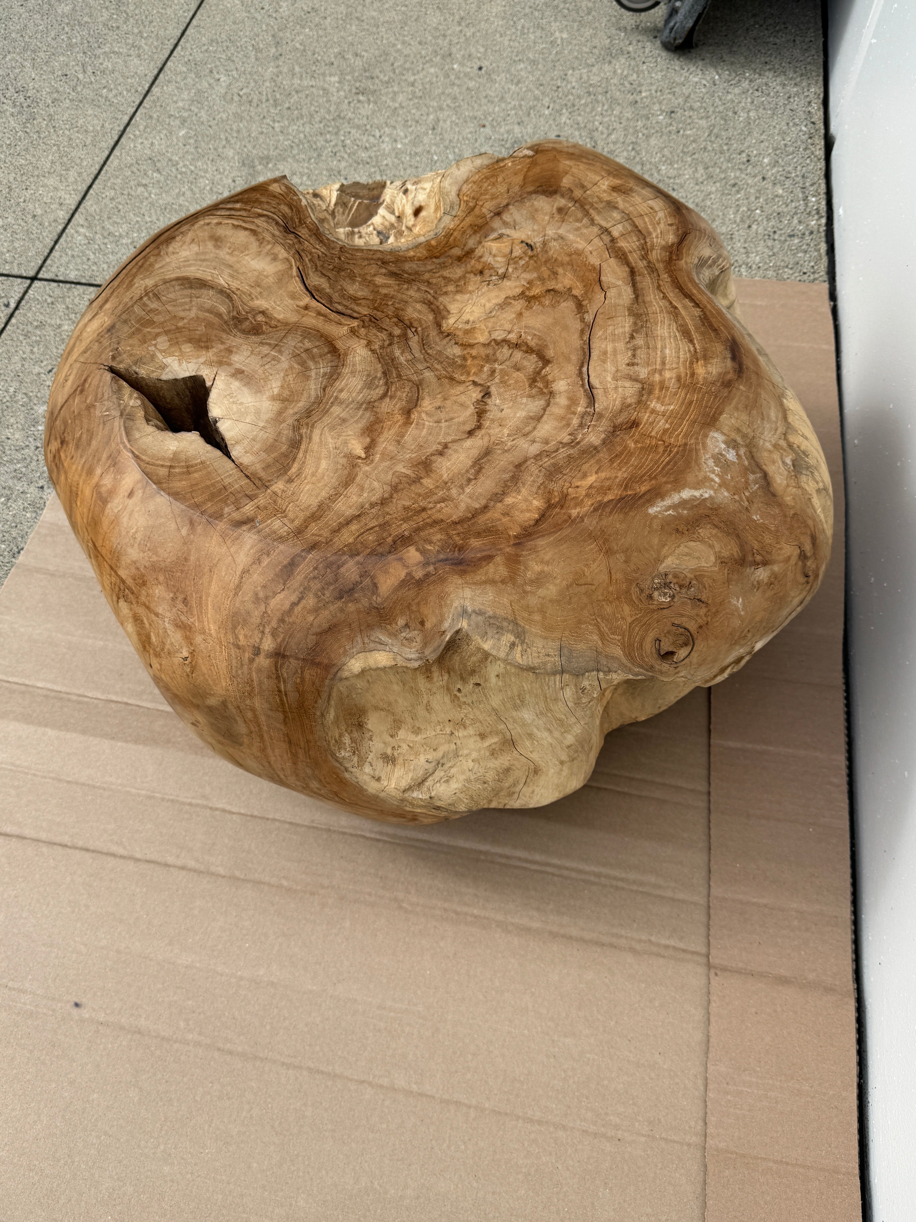 Solid Teak Root Coffee Table / Sculptural Accent Table