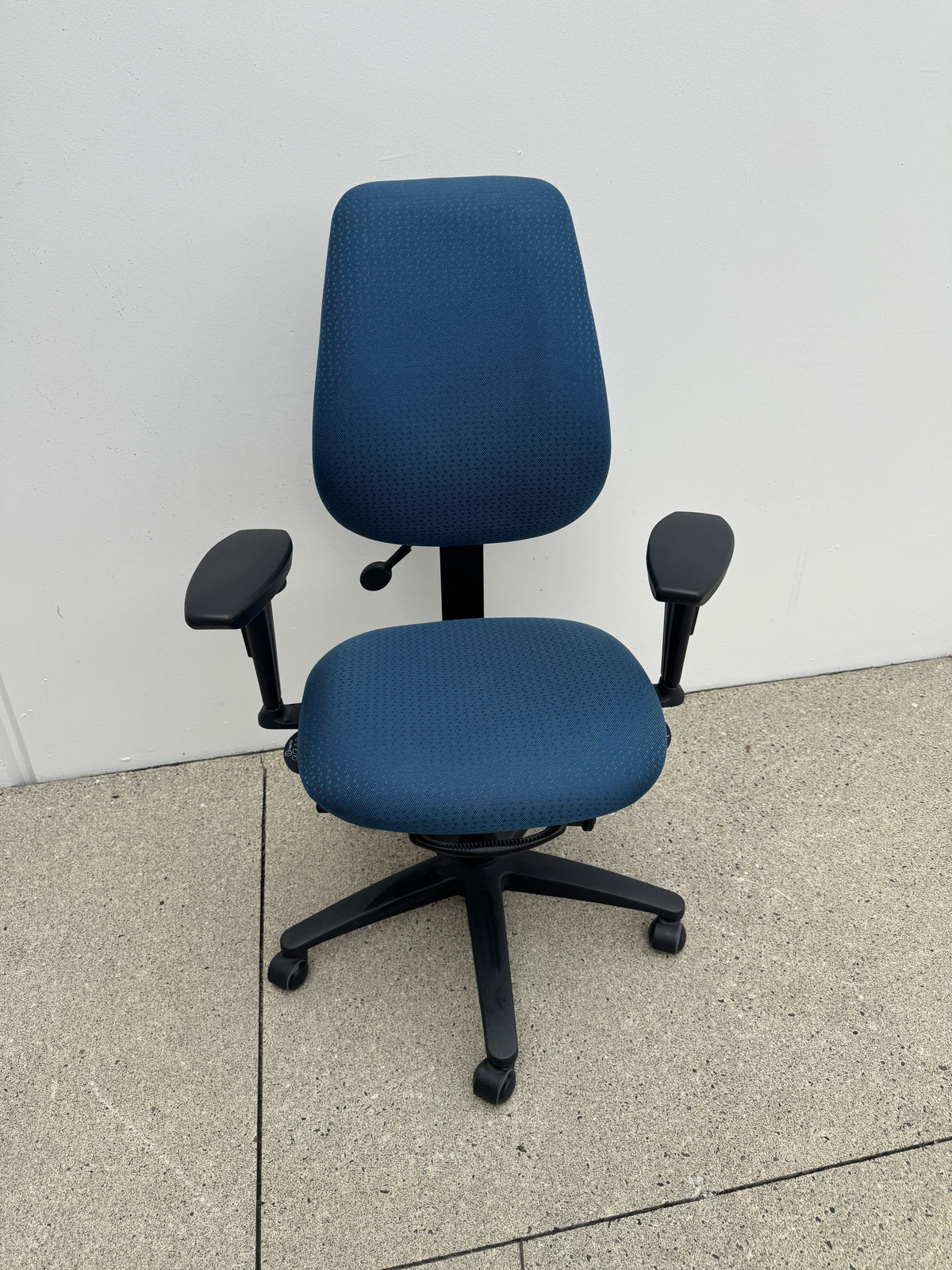 ergoCentric geoCentric Tall Back Ergonomic Chair