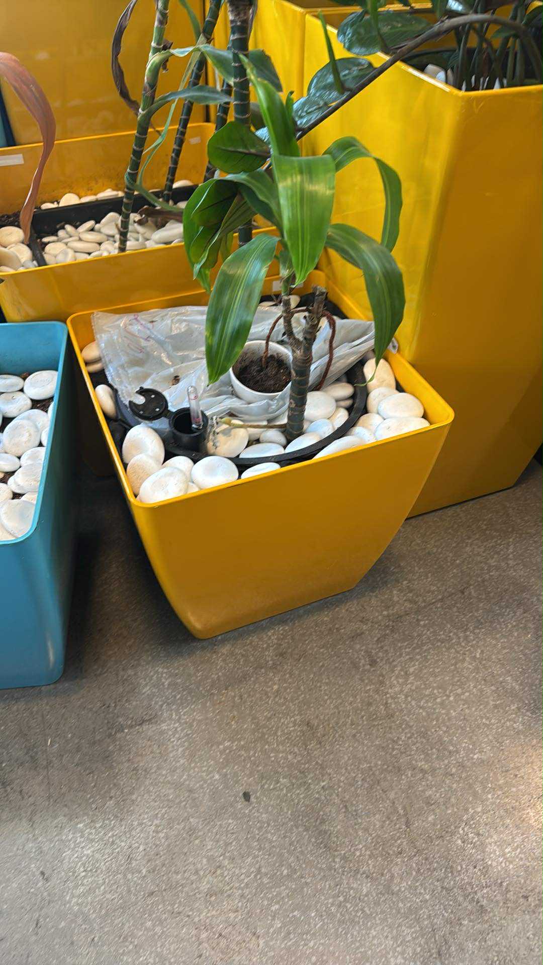 Jay Scotts Collection Planter Box – Indoor & Outdoor – Various Colours & Sizes