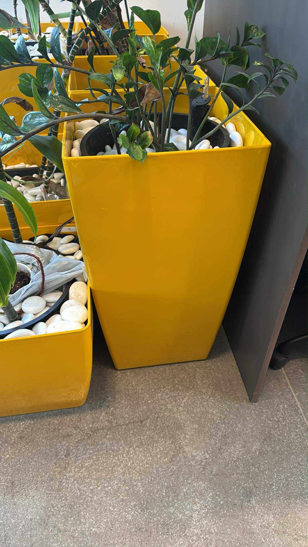 Jay Scotts Collection Planter Box – Indoor & Outdoor – Various Colours & Sizes