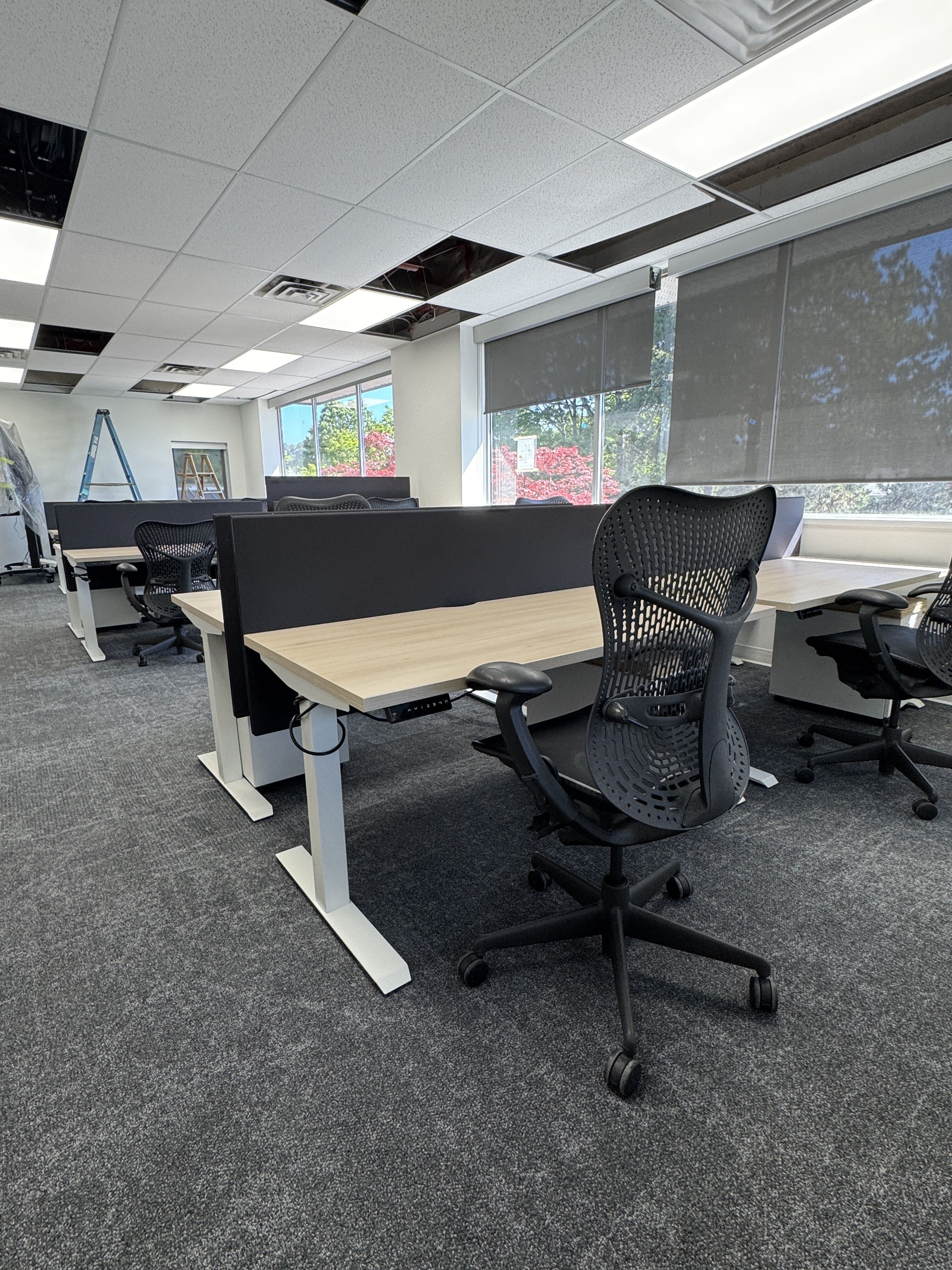 Steelcase AMQ Electric Sit-Stand Desk – 60" x 30" | Optional Privacy Panel